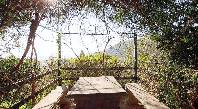 Farm with pool, patio & BBQ | Suitable for remote work — photo 4