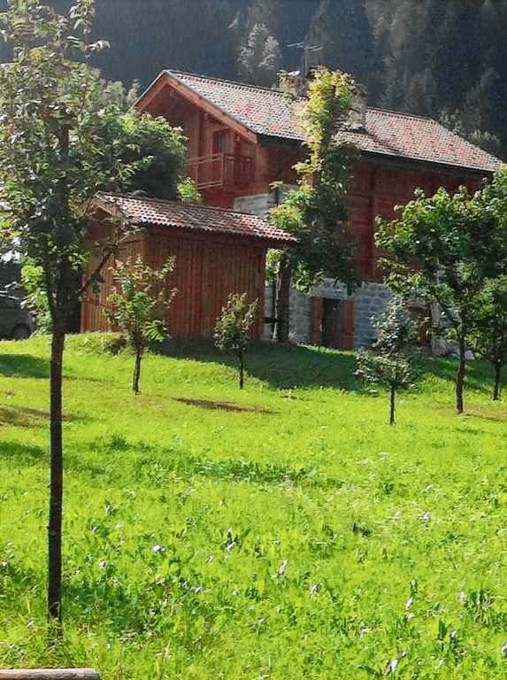 Family-friendly chalet with garden | Dogs allowed — photo 5
