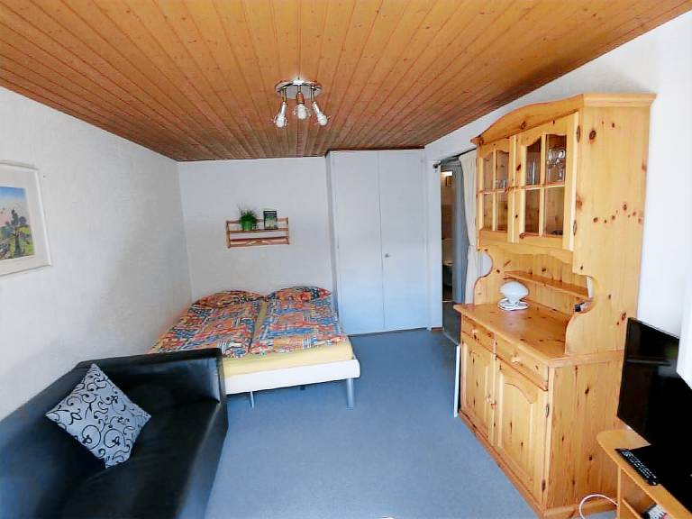 Pleasant holiday apartment with patio & barbeque | Next to the ski | Pet-friendly — photo 4