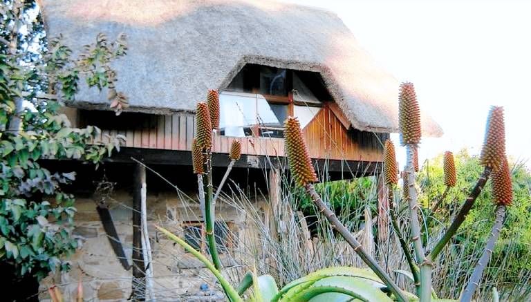 Handcrafted Tree House Cabin near Beach South Africa