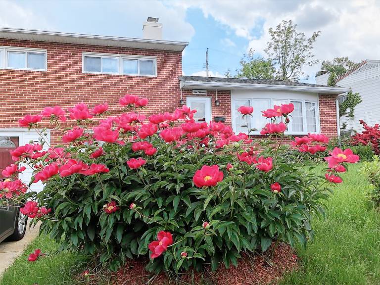 House  Franklintown
