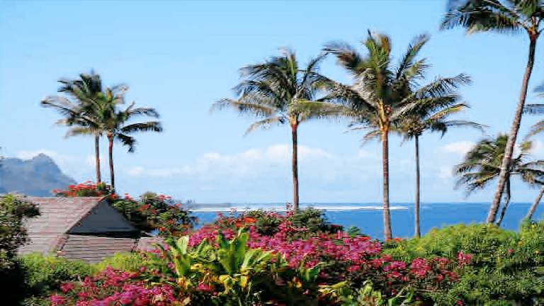 Apartment Princeville