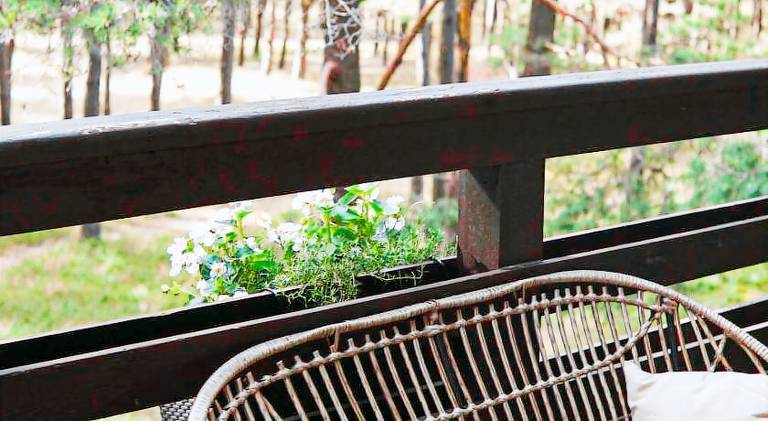 Serviced apartment with garden & terrace — photo 5