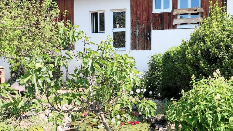 Ferienwohnung  Kaiserstuhl