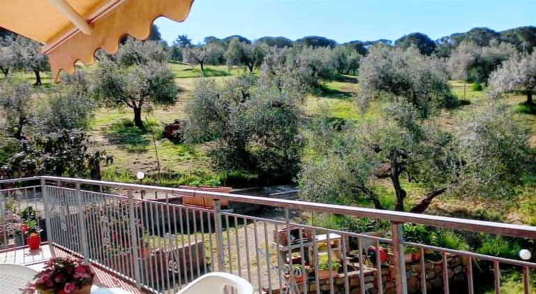 Holiday apartment with terrace — photo 3
