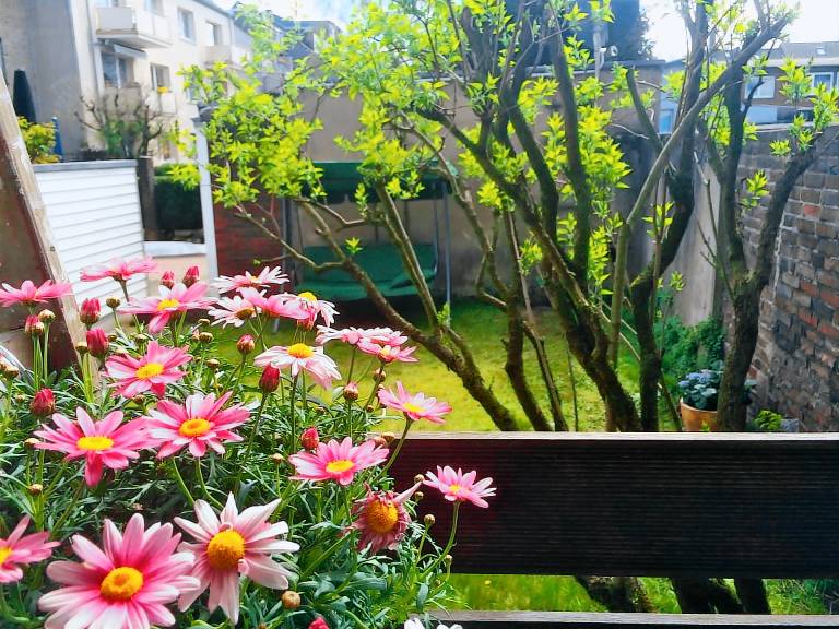 Appartement Duisburg