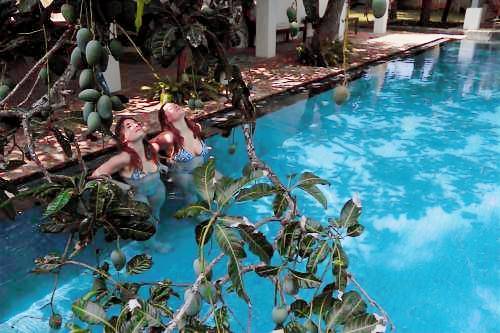 Bed & Breakfast Pamunugama