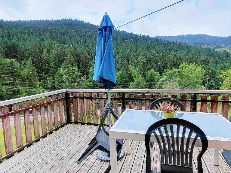 Cottage with yard & grill | Pet-friendly — photo 2