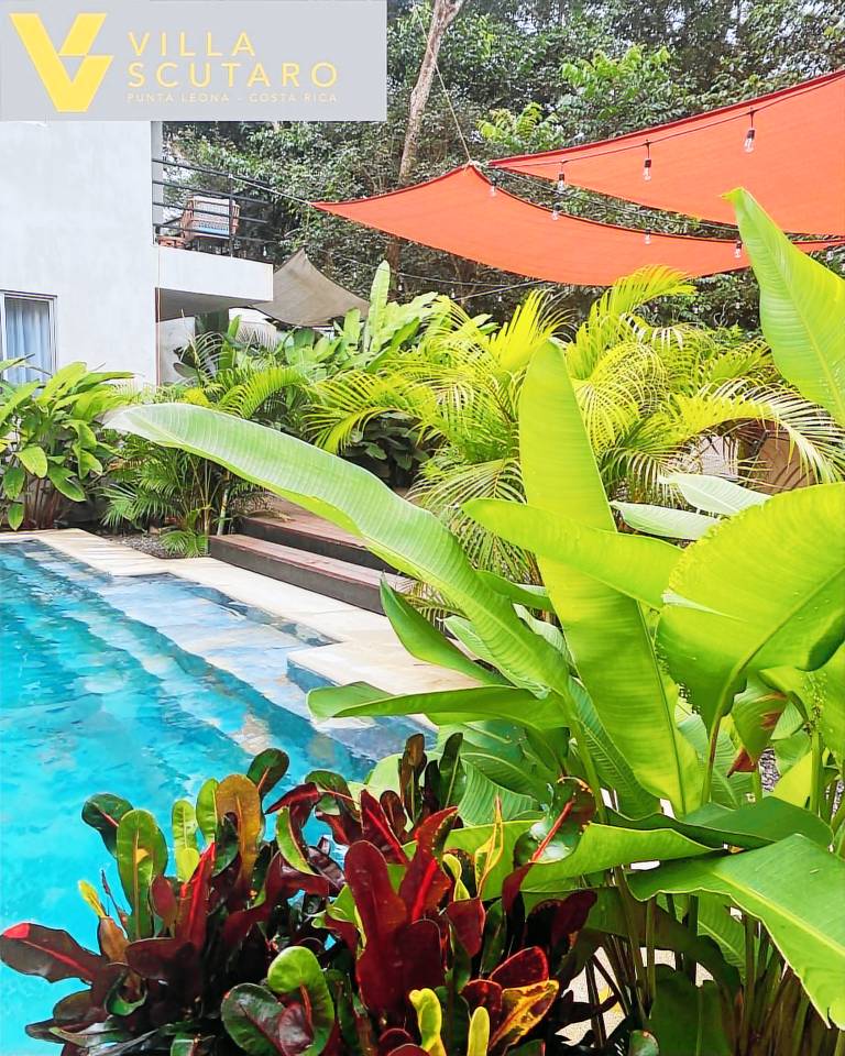 Apartment  Playa Blanca