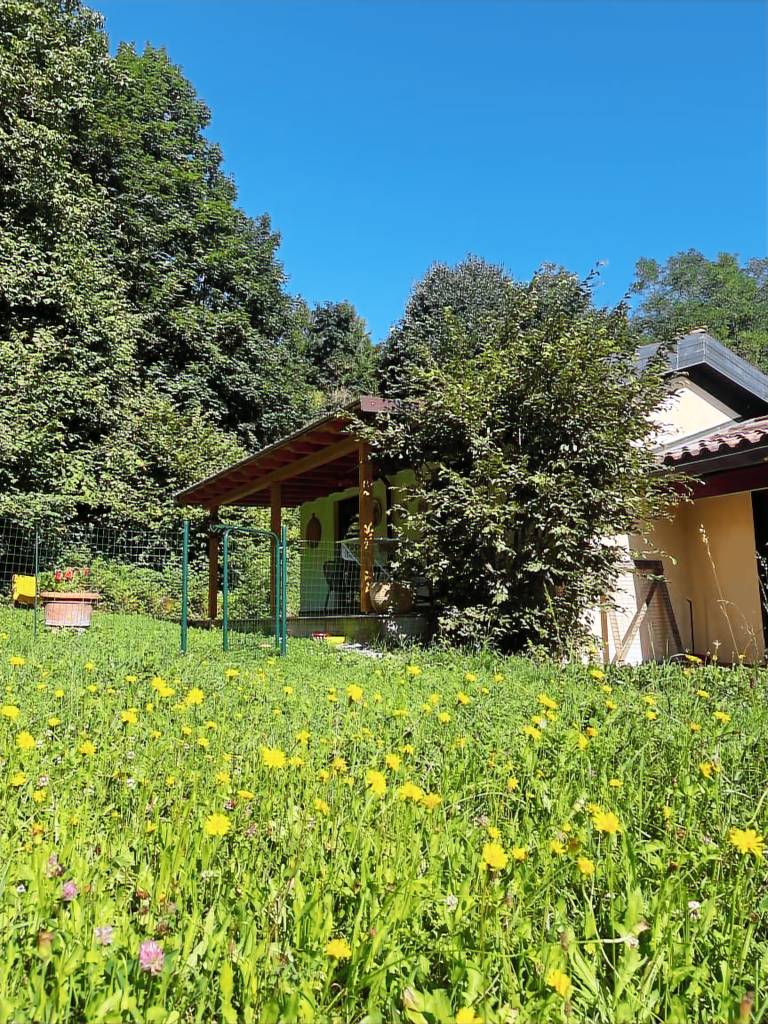 House with yard & patio | Nature view — photo 2