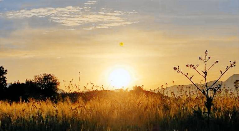 Green farm Camping in Kayseri