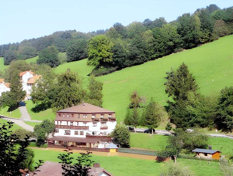 Hotel Gruner Baum mit Restaurant & Wellness