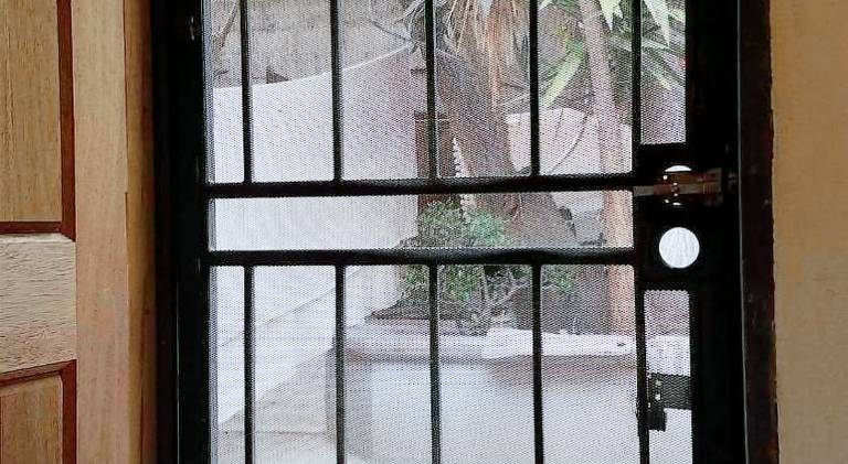 Holiday apartment | Pets are welcome — photo 5