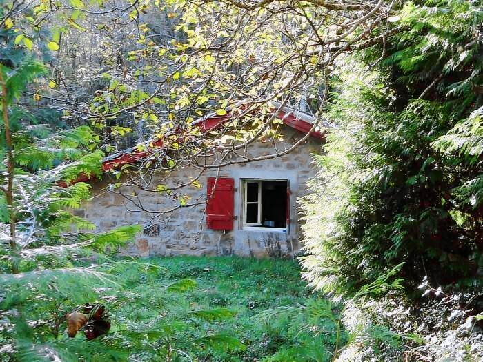 Lovely chalet with yard & BBQ | Nature view | Pets are welcome — photo 4