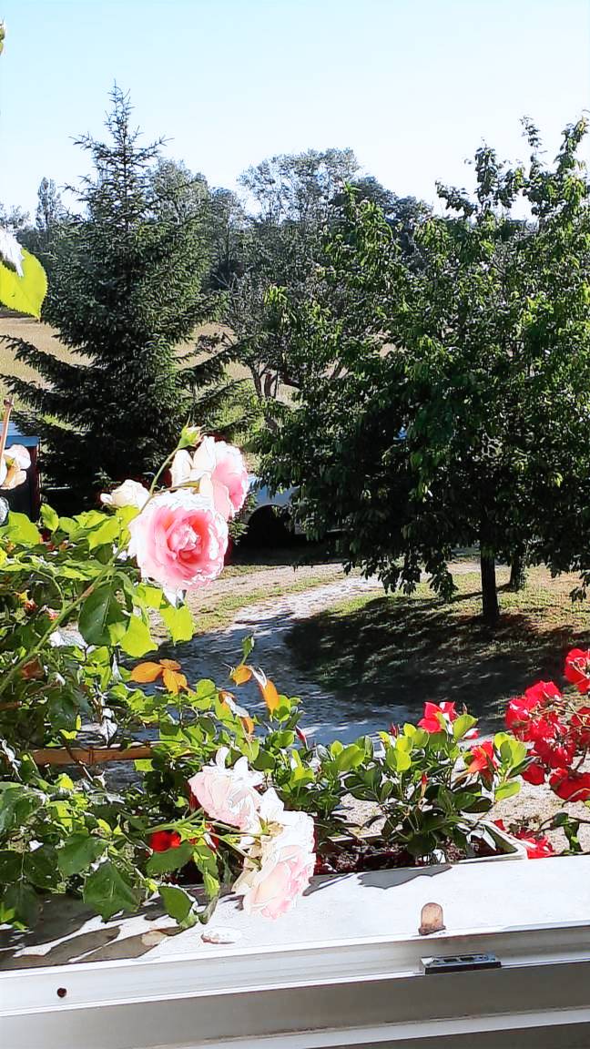Children-friendly gite with garden & barbecue | Nature view | Dogs allowed — photo 2