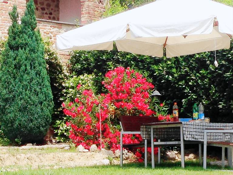 House with pool, patio & BBQ | Nature view — photo 4