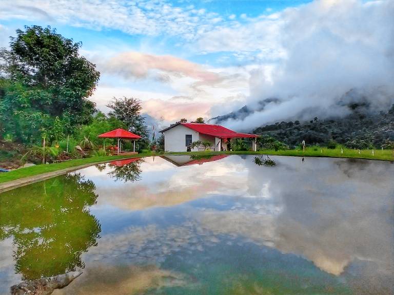 Balaut Resort — photo 4