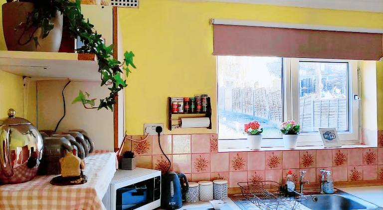 House with garden — photo 3