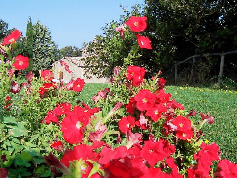 Poggio Porsenna: Il Capitello — photo 4
