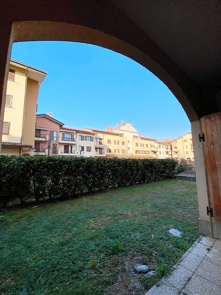 foto1
