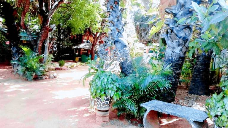 AMILA GUEST HOUSE — photo 5