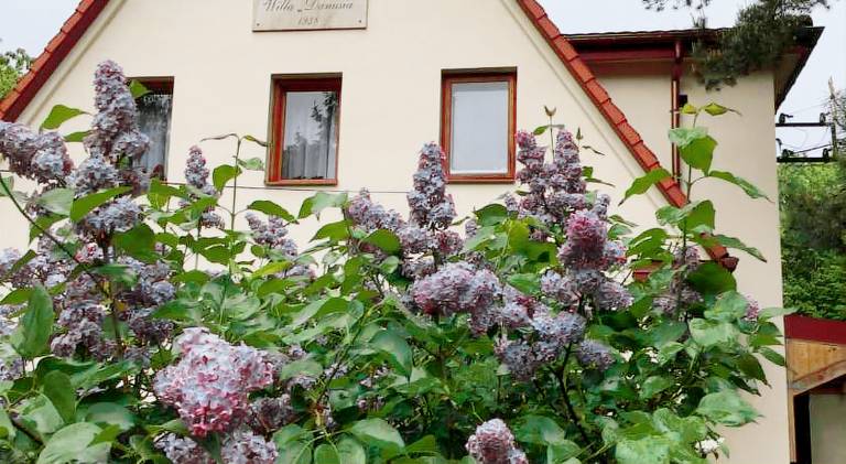Bed & Breakfast Grodzisk Mazowiecki