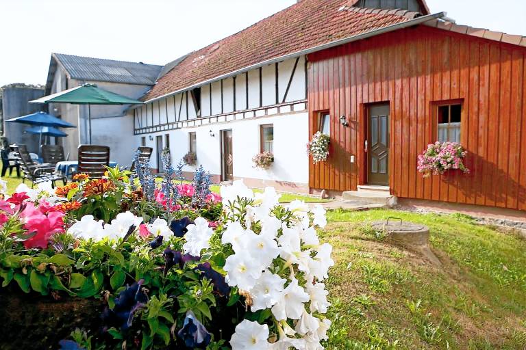 Child-friendly holiday apartment with garden & terrace | Pets allowed — photo 2