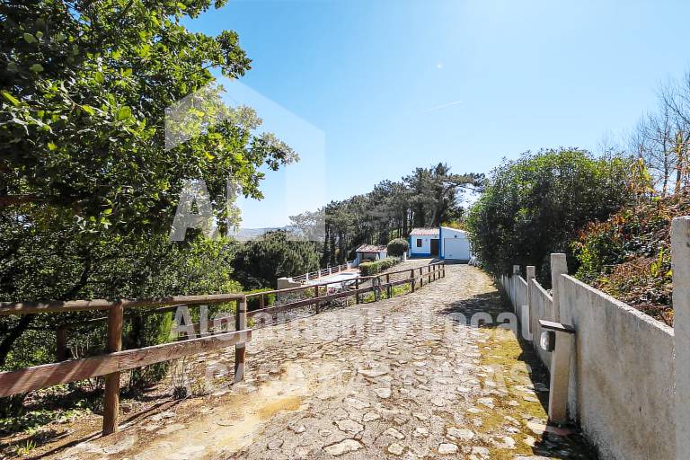 foto2