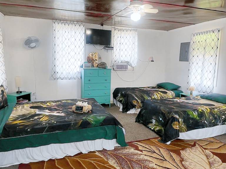 Bed and breakfast  Ladyville