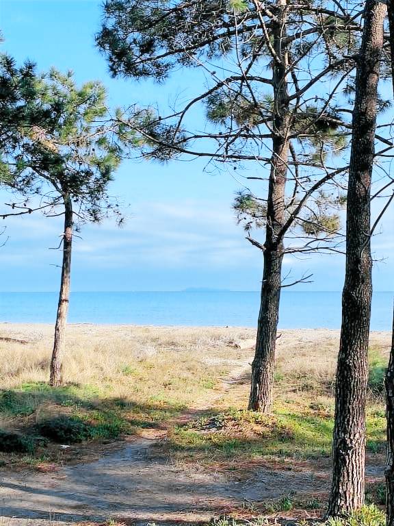 Appartement en copropriété Borgo