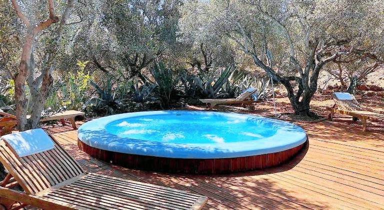 The Secret Treehouse — photo 3
