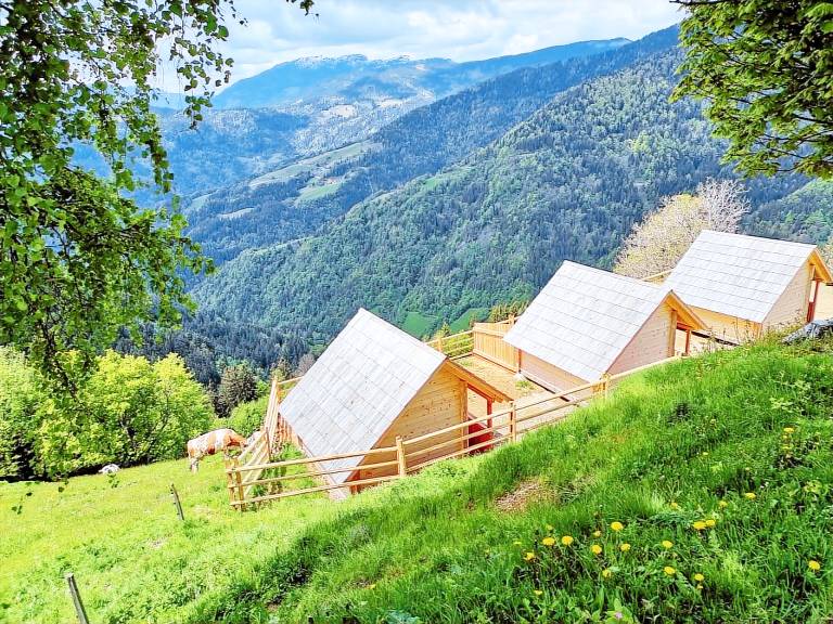 Camping  Ter