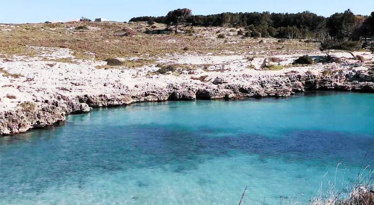 Holiday apartment | Dogs allowed in Giurdignano