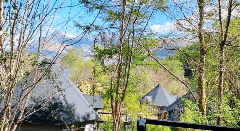 Chalet with yard — photo 3