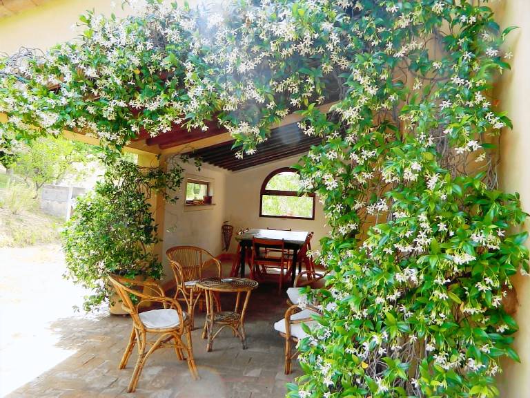 Apartment with terrace, BBQ & yard | Nature view | Pet-friendly — photo 3