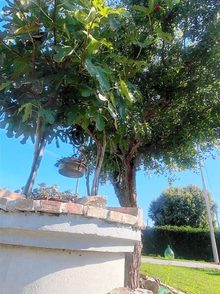 Casa vacanza Monselice