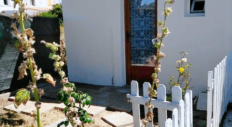 Lovely apartment | Dogs allowed — photo 5