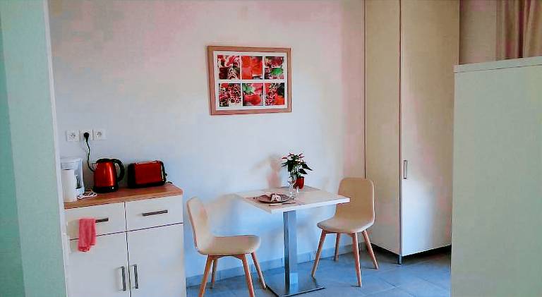 Serviced apartment with garden & patio — photo 4