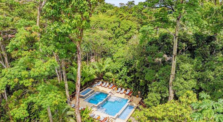 Copa de Arbol Beach & Rainforest Resort — photo 4