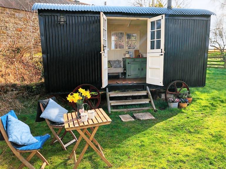 Cabin  Harlow Hill