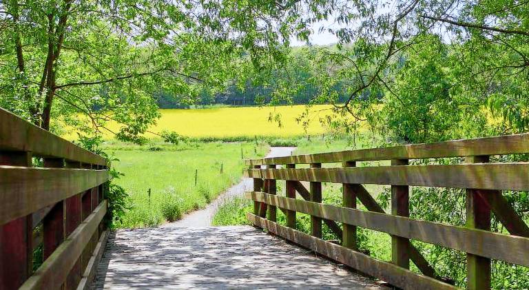 Hotel Der Grischafer