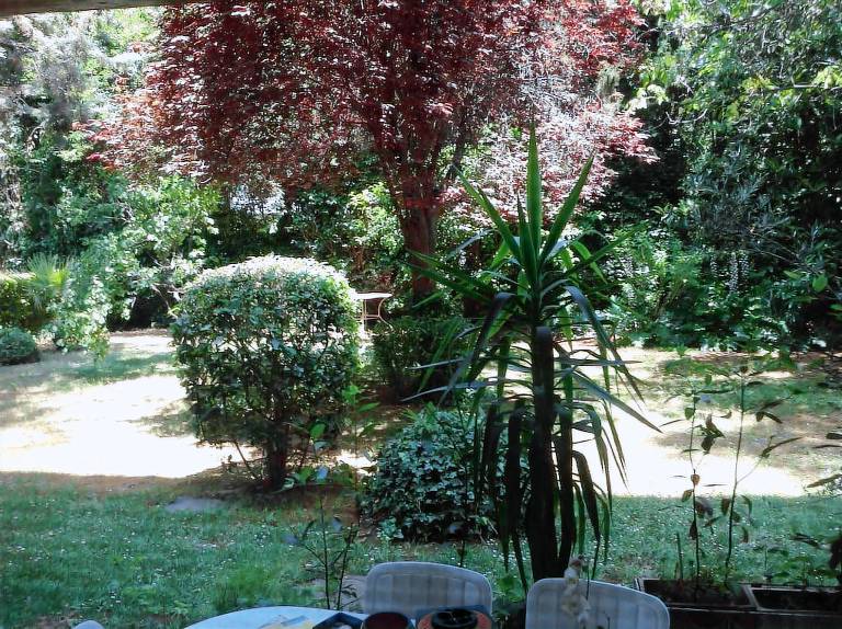 Apartment Filothei