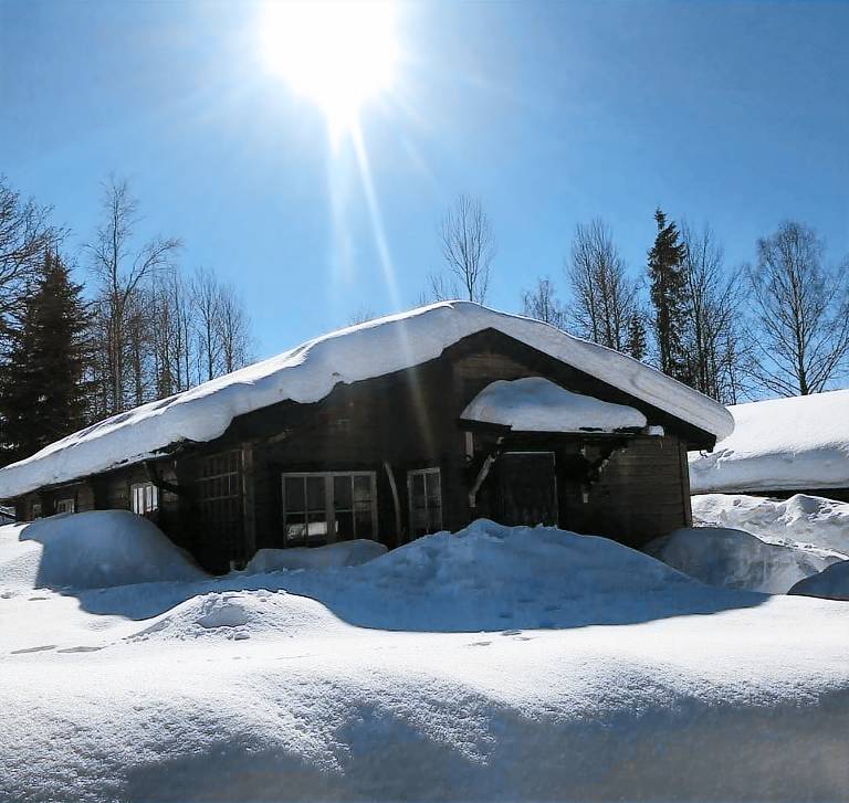Children-friendly vacation home with grill & sauna | Nature view | Pets allowed — photo 4