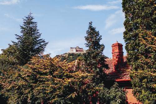 Bed and breakfast  Deva