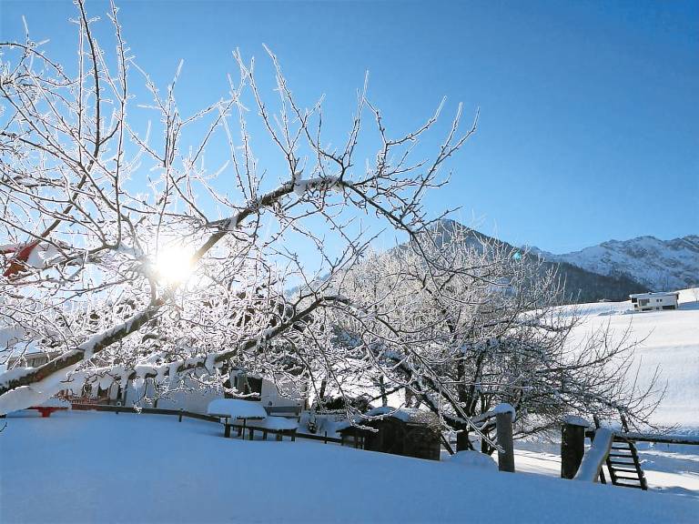 Chalet Glockenhof — photo 4