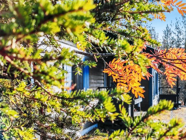 Lovely vacation home with sauna | Pets are welcome — photo 3