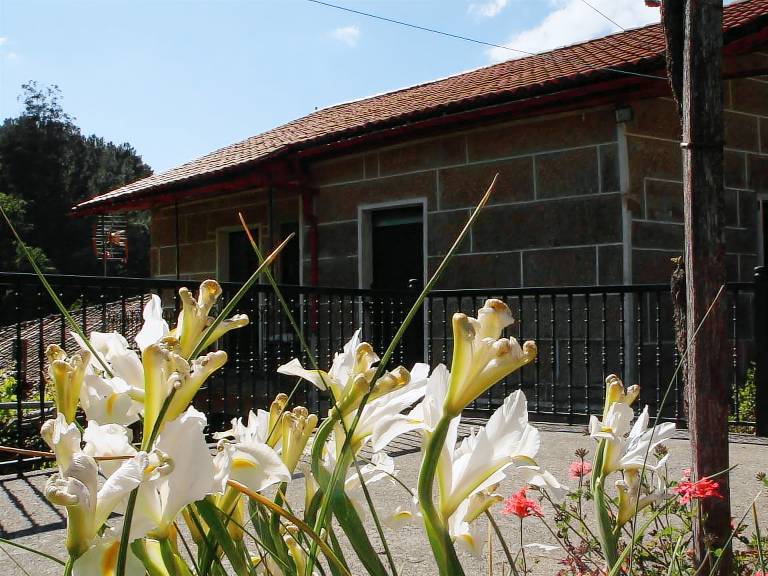 Casa rural Borraxos