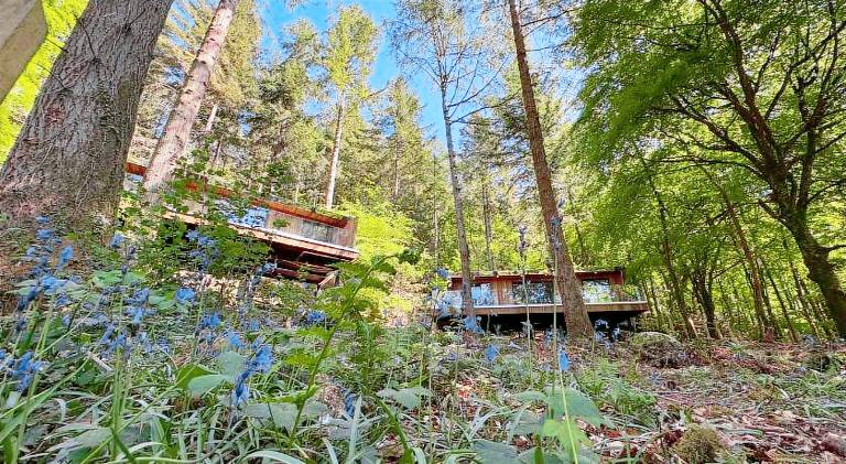 Lodge with terrace — photo 5