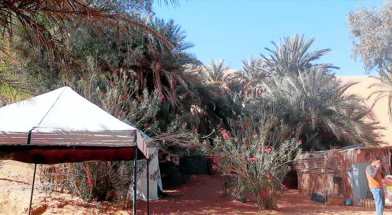 Merzouga activites — photo 5