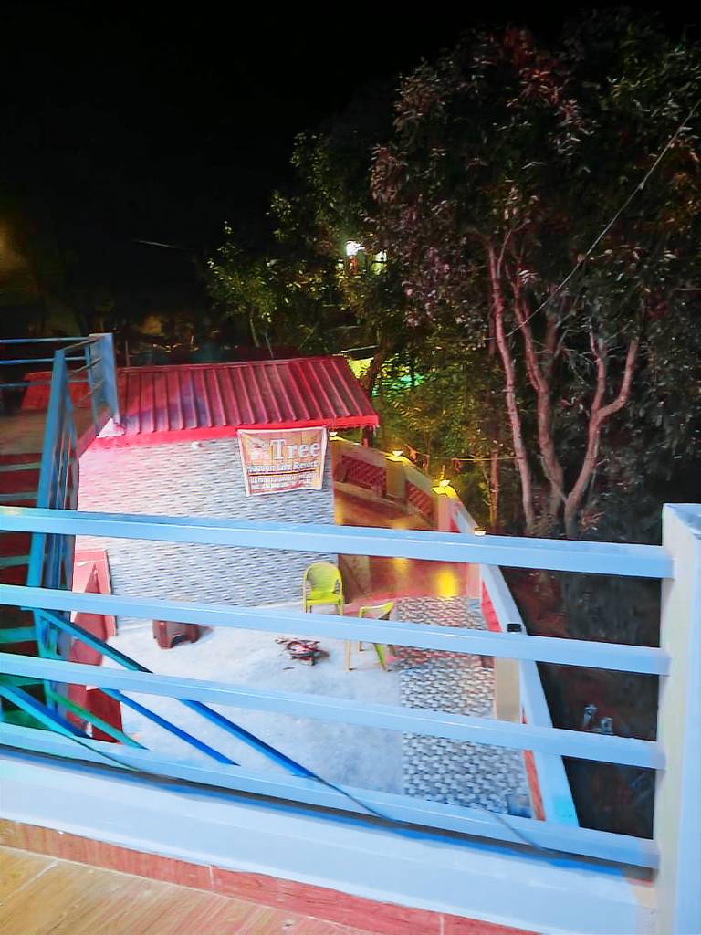 Tree Heaven Homestay — photo 3